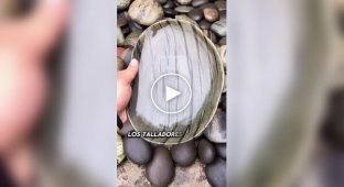 When collecting rocks on the beach reached a new level