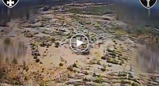Оператор дрона-камикадзе попадает в оккупанта, который вылез из укрытия