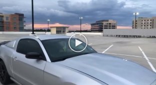 Владелец Ford Mustang врезался в фонарный столб когда крутил «пончики»