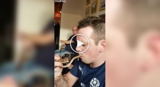 Typical Scottish tavern