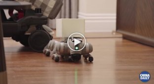 Паралізований чоловік керує роботом силою думки