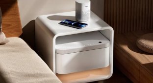 A "smart" cabinet of the future was presented in China (3 photos + video)