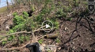 The assault on Russian positions near the village of Andreevka in the Donetsk region from the first person of a Ukrainian military man