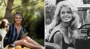 Брижит Бардо: секс-символ, защитница животных и политический деятель (10 фото)