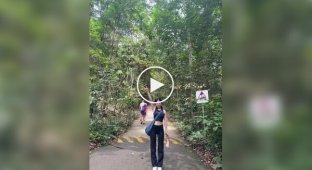 Девушка позировала для фото на природе и не увидела, что ползет возле ее ноги