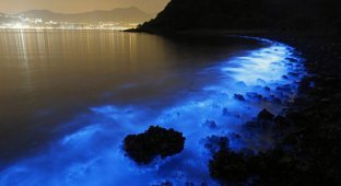 Удивительное природное явление на побережье Гонконга (4 фото)