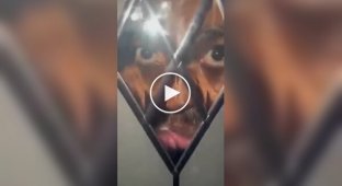 В Англии неизвестный ночью смотрел в стеклянную дверь дома