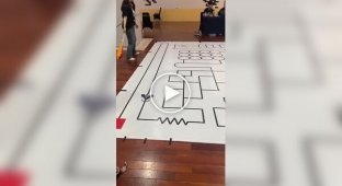 Гонки роботов по линиям