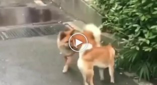 There was a loop in the algorithm