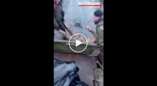 Окупанти витягують із кущів тіло свого двохсотого