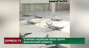В Украину поступили первые ударные беспилотники WARMATE