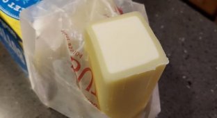 How different products change if you forget about them for a long time (12 photos)