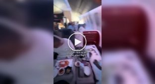 A man bought a business class ticket for his cat