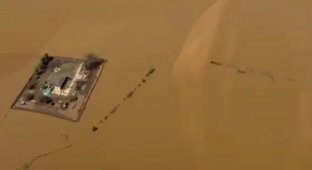 Предусмотрительная семья из Теннесси смогла защитить свой дом от наводнения (4 фото + 1 видео)