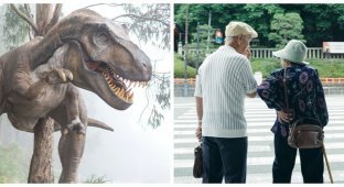 «Во всём виноваты динозавры»: почему люди не живут до 200 лет (6 фото)