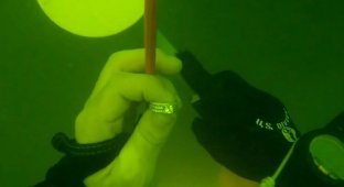 A scuba diver found a $9,500 ring at the bottom of a lake (6 photos + 1 video)