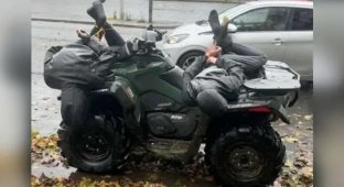 В Великобритании фермера, который привез нарушителей в полицию, обвинили в похищении (4 фото)