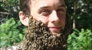 Люди и пчелы (23 фотографии)