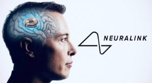 Человек с имплантом от Neuralink Илона Маска научился управлять компьютерной мышкой силой мысли (фото + видео)
