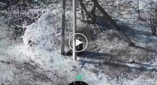 Наш дрон зняв самогубство російського солдата на Покровському напрямі