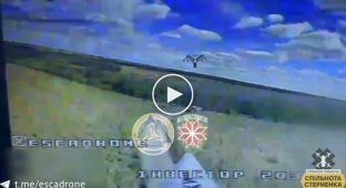 Уничтожение российского самоходного миномета 2С4 «Тюльпан» под Сватовом