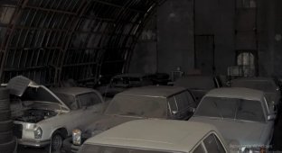 A hangar with Mercedes abandoned for decades and more was found in Ukraine (video)