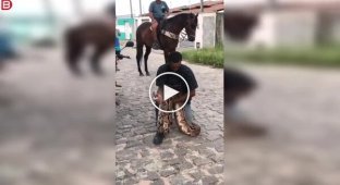 A man versus a 3-meter boa constrictor