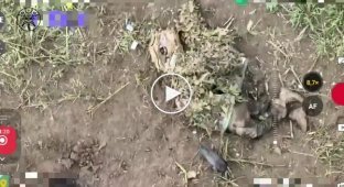 Three occupiers were hiding under anti-drone cloaks, but fighters from the Nadnipryanskaya brigade eliminated them