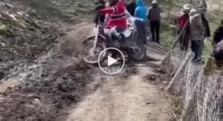In Dagestan, horses have priority on the road
