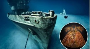In the chest of a ship that sank in 1660, scientists found a wedding dress (10 photos)