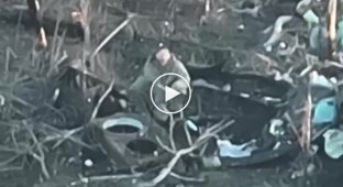 Ukrainian sniper eliminates Russian invader with precise shot to the head in Donetsk region