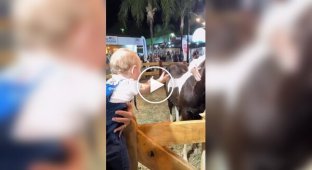 The warmest scene of the day: a toddler hugging a horse conquered the Internet