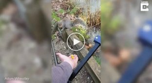 The fisherman tried to feed the squirrel