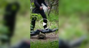 A tracked off-road skateboard