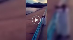 Beautiful and amazing (short videos). Release 26