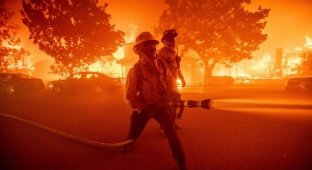 Fire in Los Angeles: terrible footage of the disaster (6 photos + 2 videos)