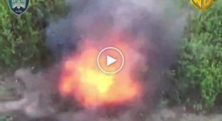 Птахи Мадяра дроном-камикадзе ликвидировали российского солдата: от удара его тело почти разорвало