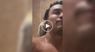 A parrot takes a shower with its owner