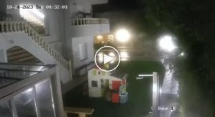 Anatoly Shariy's villa in Tarragona, Spain, was bombarded with Molotov cocktails last night