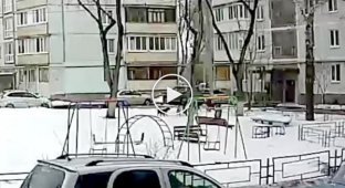 Attack of a pack of dogs on a schoolboy in Samara