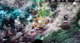 Arrival of an FPV drone against a group of Russian attack aircraft in the Zaporozhye region