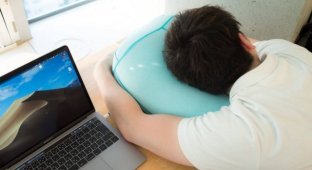 A pillow that will not leave indifferent any man (4 photos)