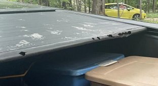 Єноти зіпсували Tesla Cybertruck, переплутавши його зі сміттєвим баком (3 фото)