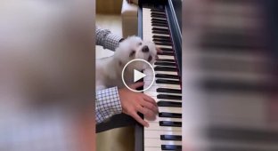 The dog sings along to his owner