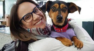 Canadian figure skater rescued a dog that was being raised for slaughter in PyeongChang (9 photos)