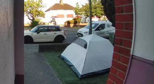 Refused to leave: an insolent man decided to spend the night in the yard of an unfamiliar woman (3 photos)