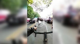 Медицина тут безсила