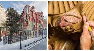 Casa Vicens: A Masterpiece Built by Gaudí (10 photos + 1 video)