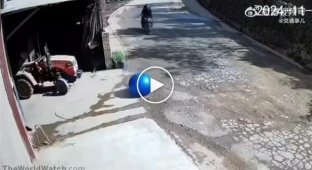 Такого вже точно не чекаєш на дорозі