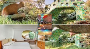 Мексиканский "змеиный" отель, в котором нет дверей (11 фото)